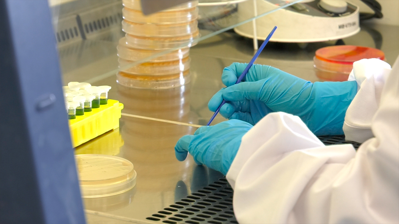 Laboratorio ASINCAR