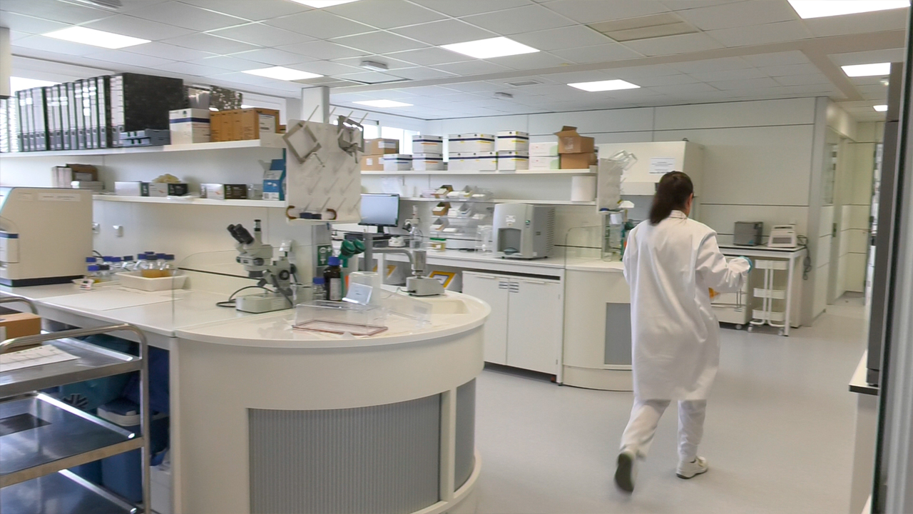 Laboratorio ASINCAR