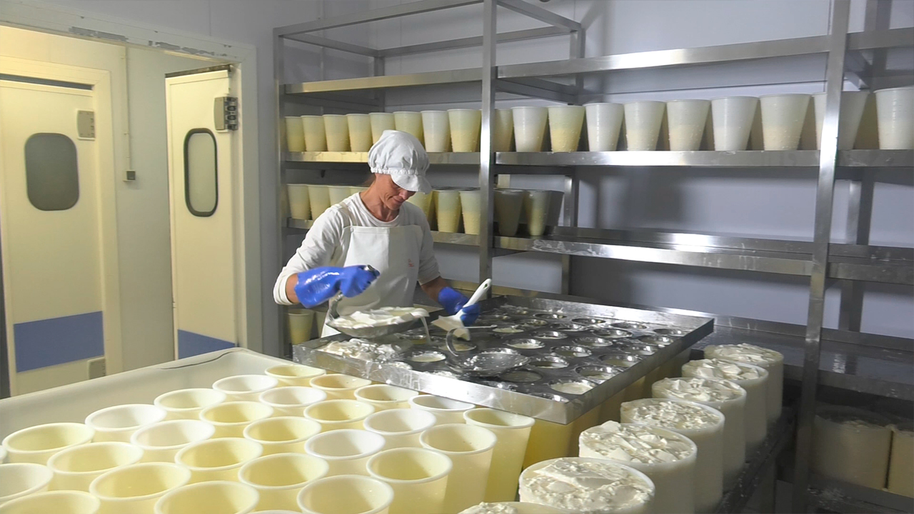 Quesería Rey Silo, una de las pymes beneficiadas por el PADIH